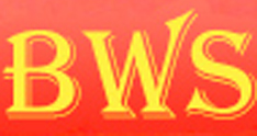 BWS Transport GmbH - Logo
